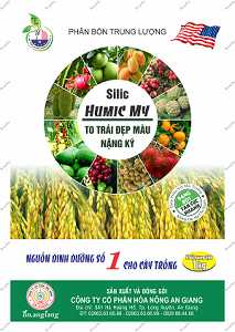 TO TRÁI - ĐẸP MÀU